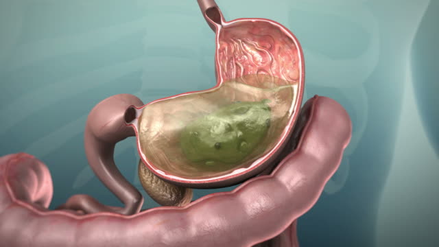 3D animation of the human gastrointestinal tract or GI tract, 4K Ultra HD.