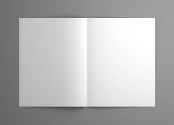 istock Orthographic blank 3D illustration opened magazine mock-up. 639346476