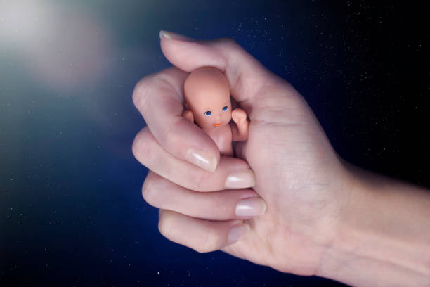 istock Hand protecting of embryo 639346824