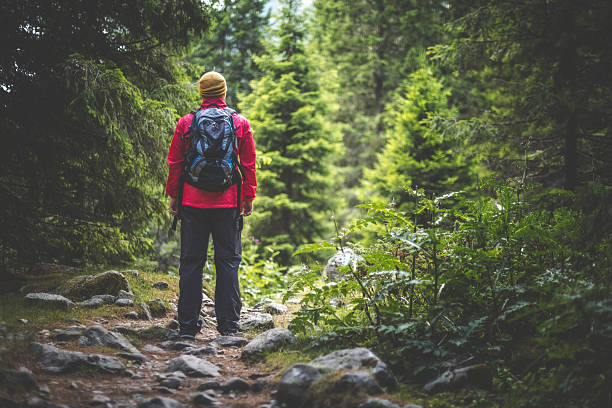 istock Traveler with backpack solitude in the forest 639347538