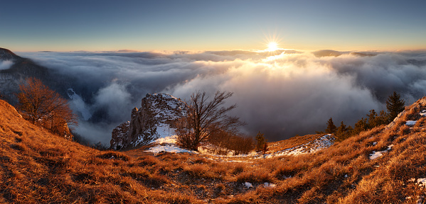 Sunrise, sun's rays illuminate the beautiful panorama of the Carpathian mountains, Wild forests, fields pastures