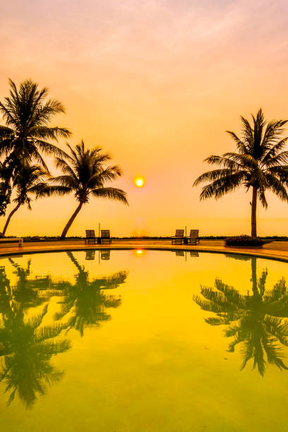 istock Beautiful Silhouette palm tree 639348102