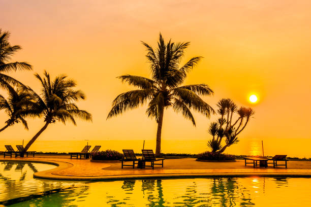 istock Beautiful Silhouette palm tree 639349592
