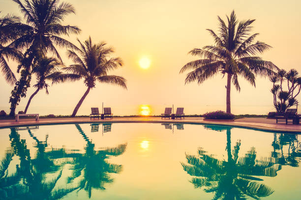 istock Beautiful Silhouette palm tree 639350710