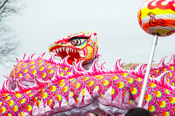 istock Chinese Lunar New Year Dragon 639352760