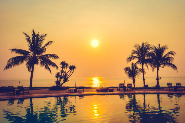 istock Beautiful Silhouette palm tree 639353016