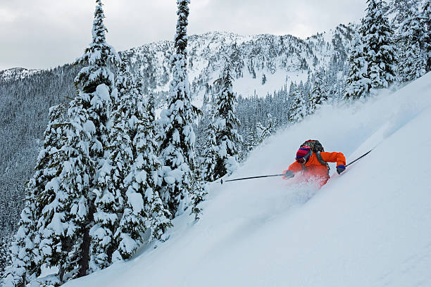 skier dans la poudreuse profonde à travers les arbres - skiing powder snow canada winter photos et images de collection