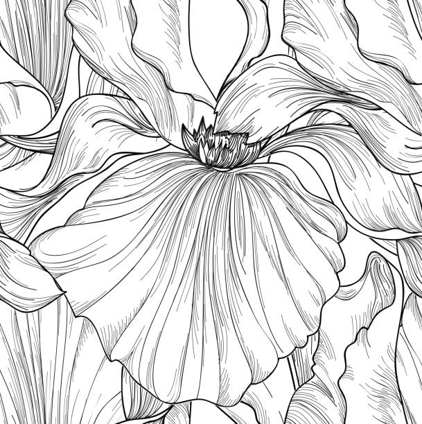 kwiatowy wzór. rozkwit retro tła. kwiat tęczówka grawerowanie wystrój - summer flower head macro backgrounds stock illustrations