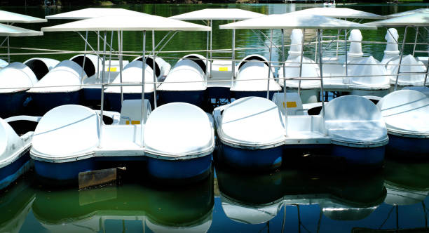 istock Duck boats in a row black and white 639370492