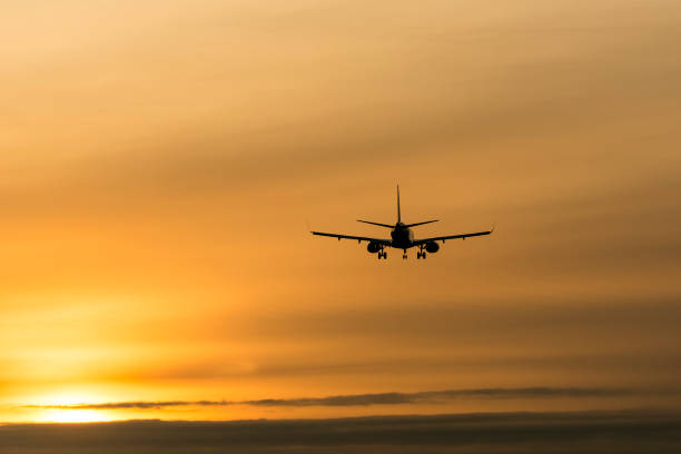istock Airplane landing in sunset 639371622