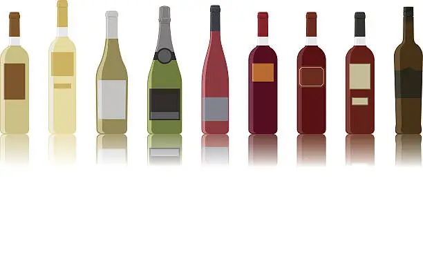 Vector illustration of kind of wines
