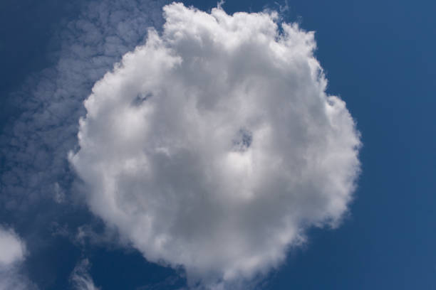 White round cloud, shaped like bun, on bright blue sky.