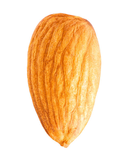 istock Almond isolated on a white background with clipping path. Macro. 639376494