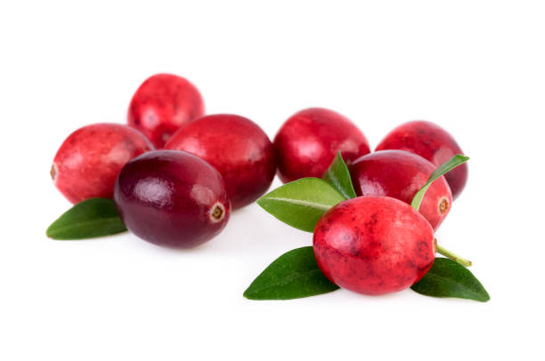 istock Cranberries isolated. Ripe cranberry with leaves isolated on white background 639376558