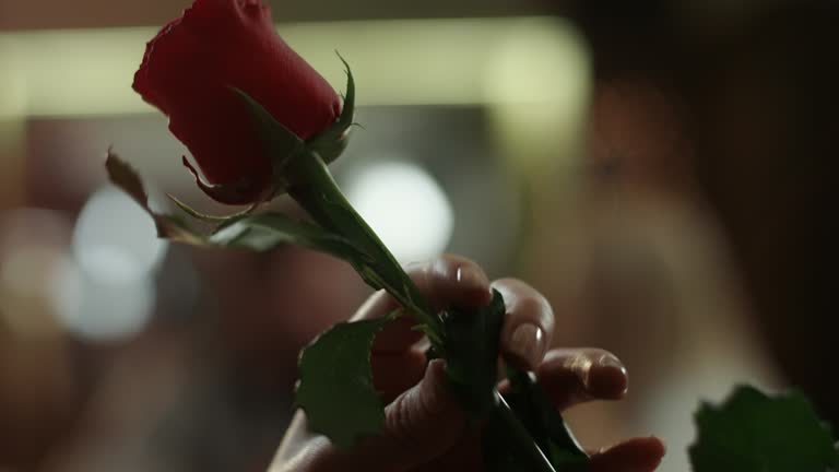 Rose For Woman