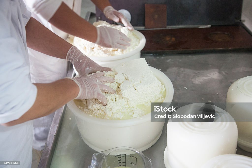 cheese production Ricotta Stock Photo