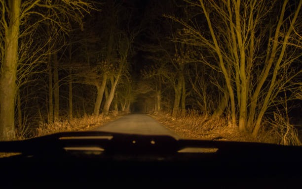 dirigindo à noite através de uma floresta assombrada - gothic style road car spooky - fotografias e filmes do acervo