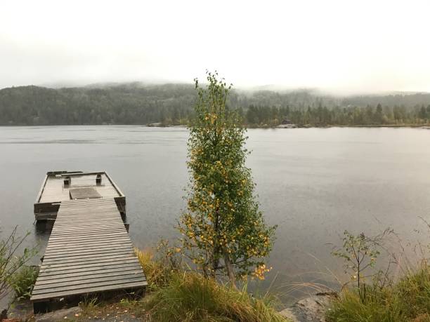 istock Rainy day by the lake 639383430