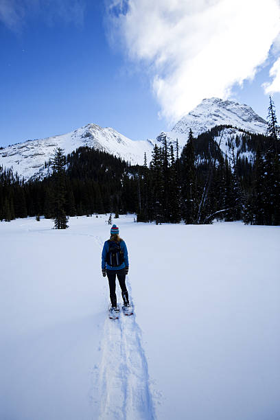 istock Winter Snowshoe Adventure 639385038