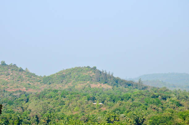 Kavu Gudde and Badaga Bellore valley
