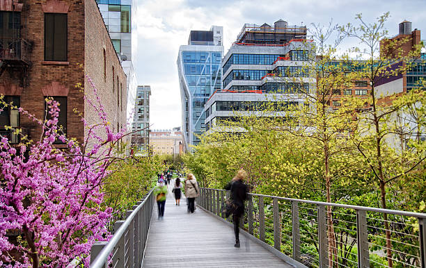 linha de parque, cidade de nova iorque - chelsea new york imagens e fotografias de stock