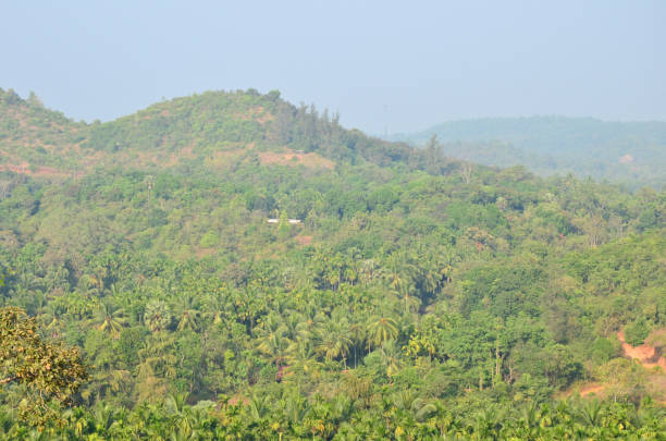 istock Kavu Gudde and Badaga Bellore valley 639385182