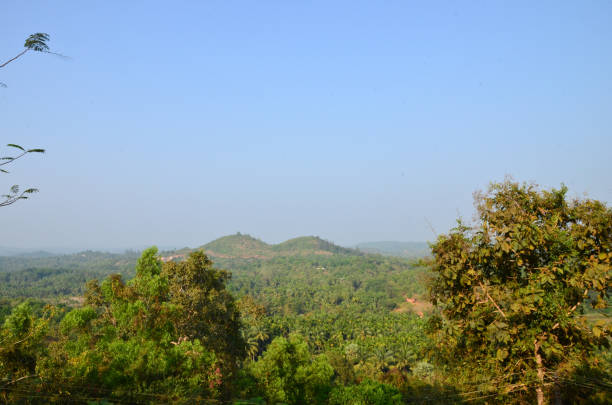 istock Kavu Gudde and Badaga Bellore valley 639385258
