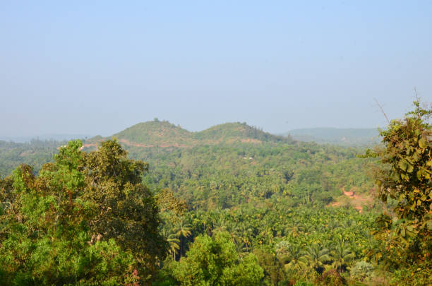 istock Kavu Gudde and Badaga Bellore valley 639385336