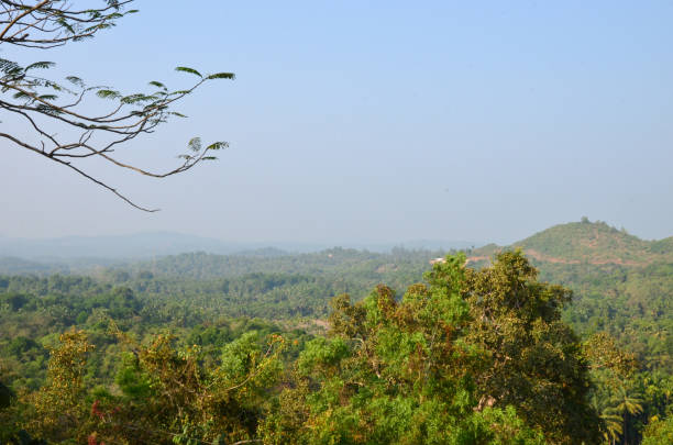 istock Kavu Gudde and Badaga Bellore valley 639385394
