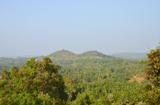 istock Kavu Gudde and Badaga Bellore valley 639385468