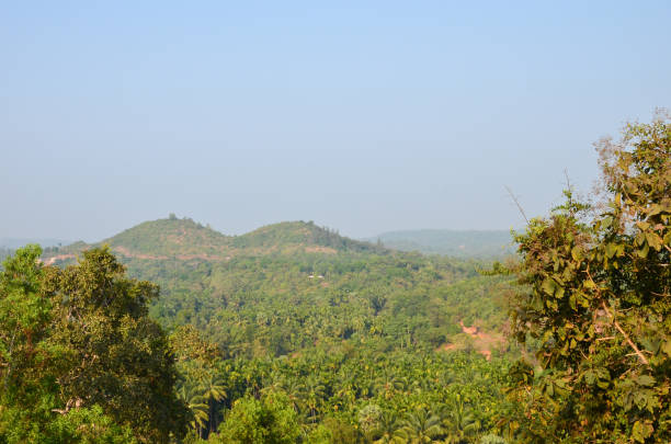 istock Kavu Gudde and Badaga Bellore valley 639385538