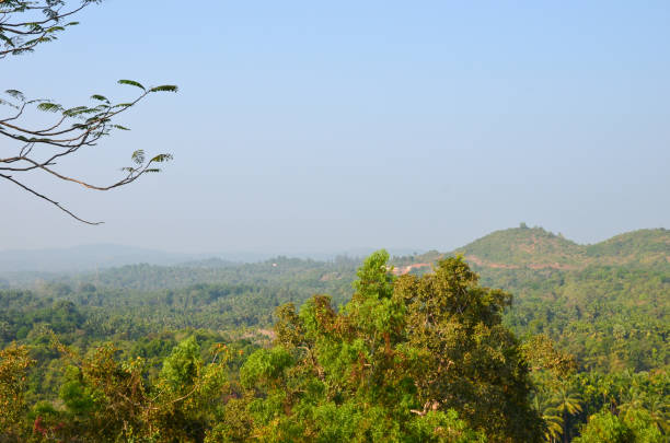 istock Kavu Gudde and Badaga Bellore valley 639385590