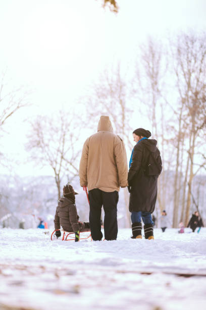 istock Would You Like Sliding On That Hill? 639385790