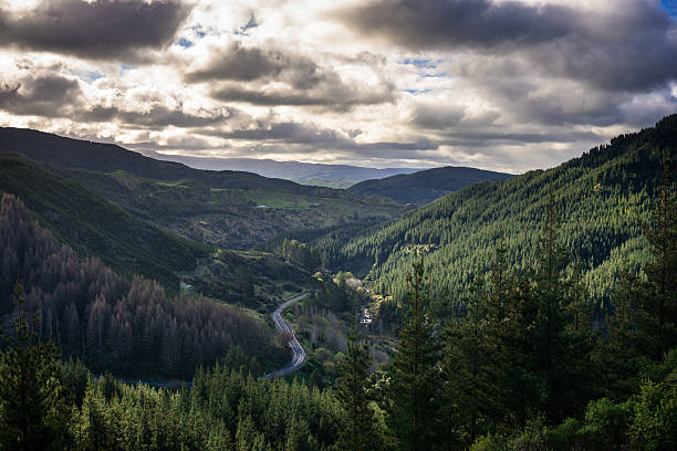 Mountain Road in Hawkes Bay