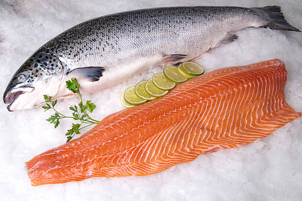 istock Fresh Fish, Salmon on Ice and Fillet 639388772
