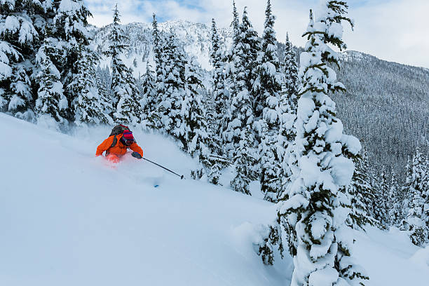 istock Skiing in deep powder through the trees 639391158