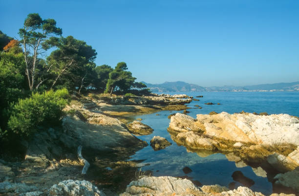istock Coast of the Ile Saint Honorat 639391740