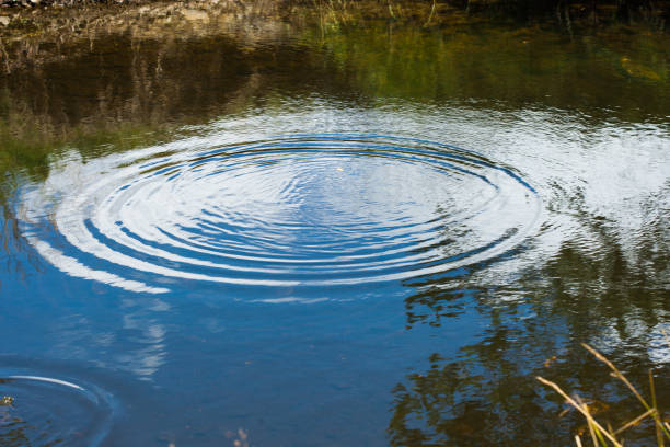 istock water ripple in small river 639391926