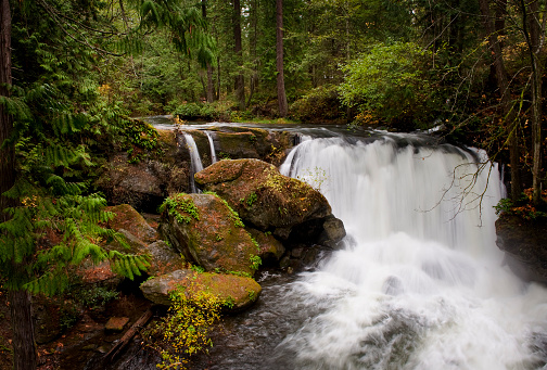 A beautiful waterfall near the city of Bellingham in the Puget Sound area of western Washington state. Whatcom Falls Park.