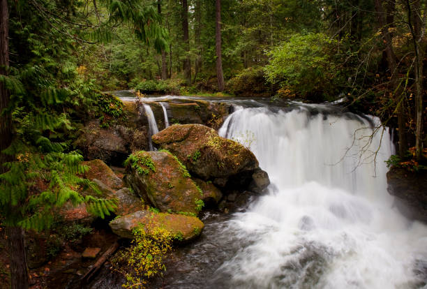Whatcom Falls, Bellingham, Washington stock photo