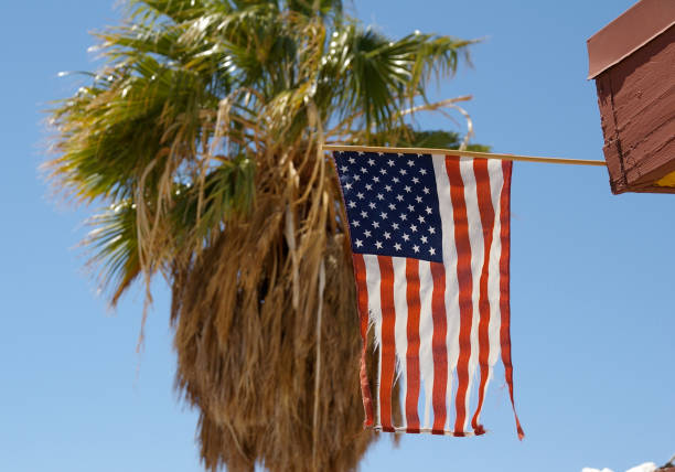 istock American flag in front of palm tree 639395152