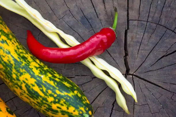 Photo of green-orange zucchini, pods of white beans and red chilli