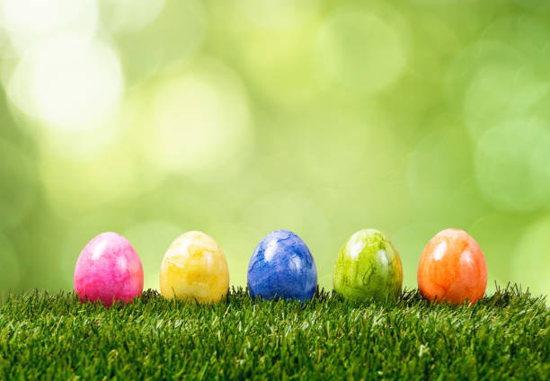 istock Row of five colorful easter eggs on green grass 639400820
