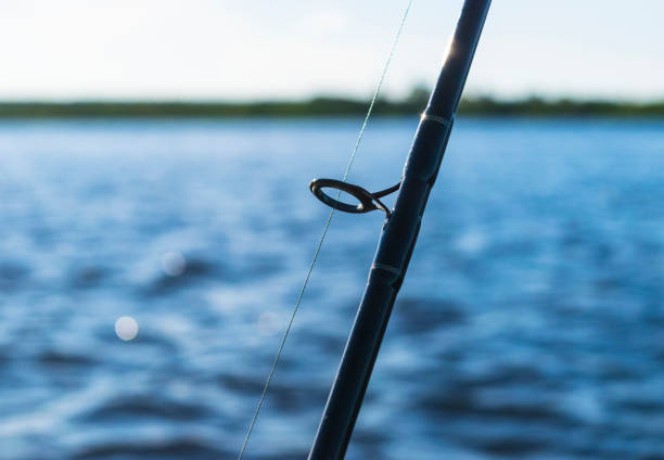 istock Fisherman's spinning rod in the sun and blue sky 639401204