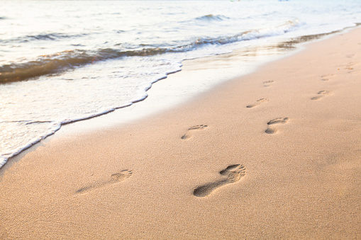 Footprints in the sand on a beach.  One person walking barefoot in the sand.