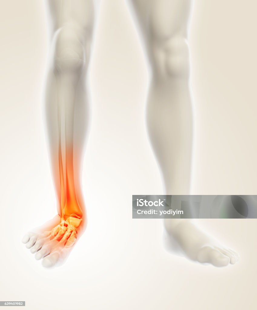 Ankle painful - skeleton x-ray. Ankle painful - skeleton x-ray, 3D Illustration medical concept. Alternative Therapy Stock Photo