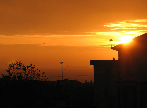 istock Morning Sunrise Contrast 639402018
