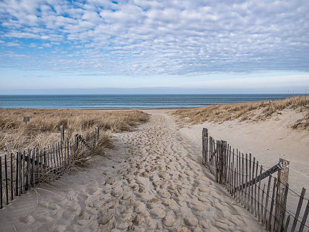 대서양 해안으로 가는 길, 레이스 포인트, 프로빈스타운 - cape cod national seashore 뉴스 사진 이미지