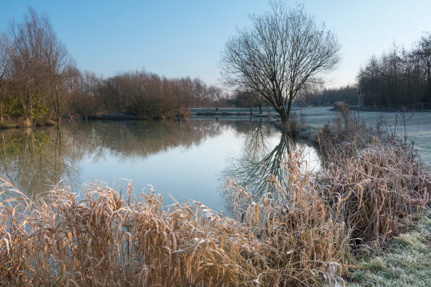 istock Frosty Morning By The Lake 639404490