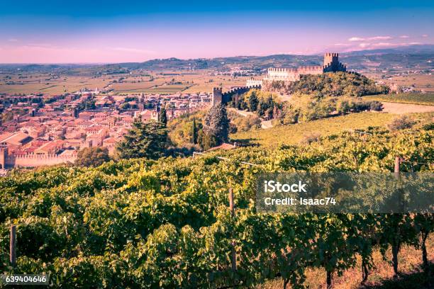 View Of Soave And Its Famous Medieval Castle Stock Photo - Download Image Now